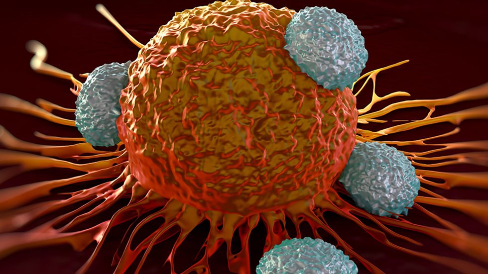 T-cells attacking cancer cell illustration of microscopic photos