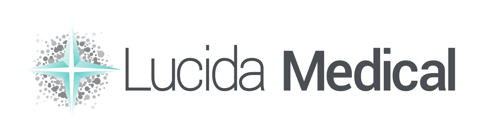 Lucida_logo_main_1600px